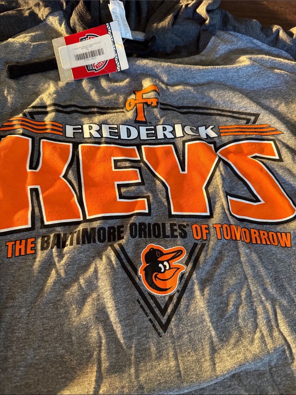 MLB Frederick Keys Hooded Long-Sleeve Shirt - Gray & Black with Orange Logo - Picture 5 of 8